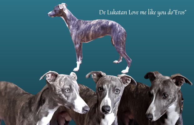 de lukatan Love my like you do(éros)